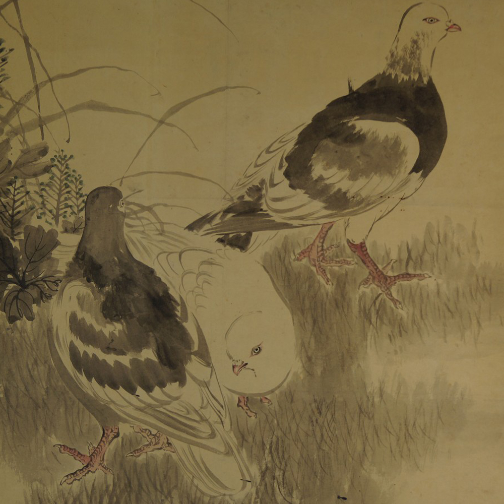 Pigeons dans l'herbe kakemono aperçu gros plan motif