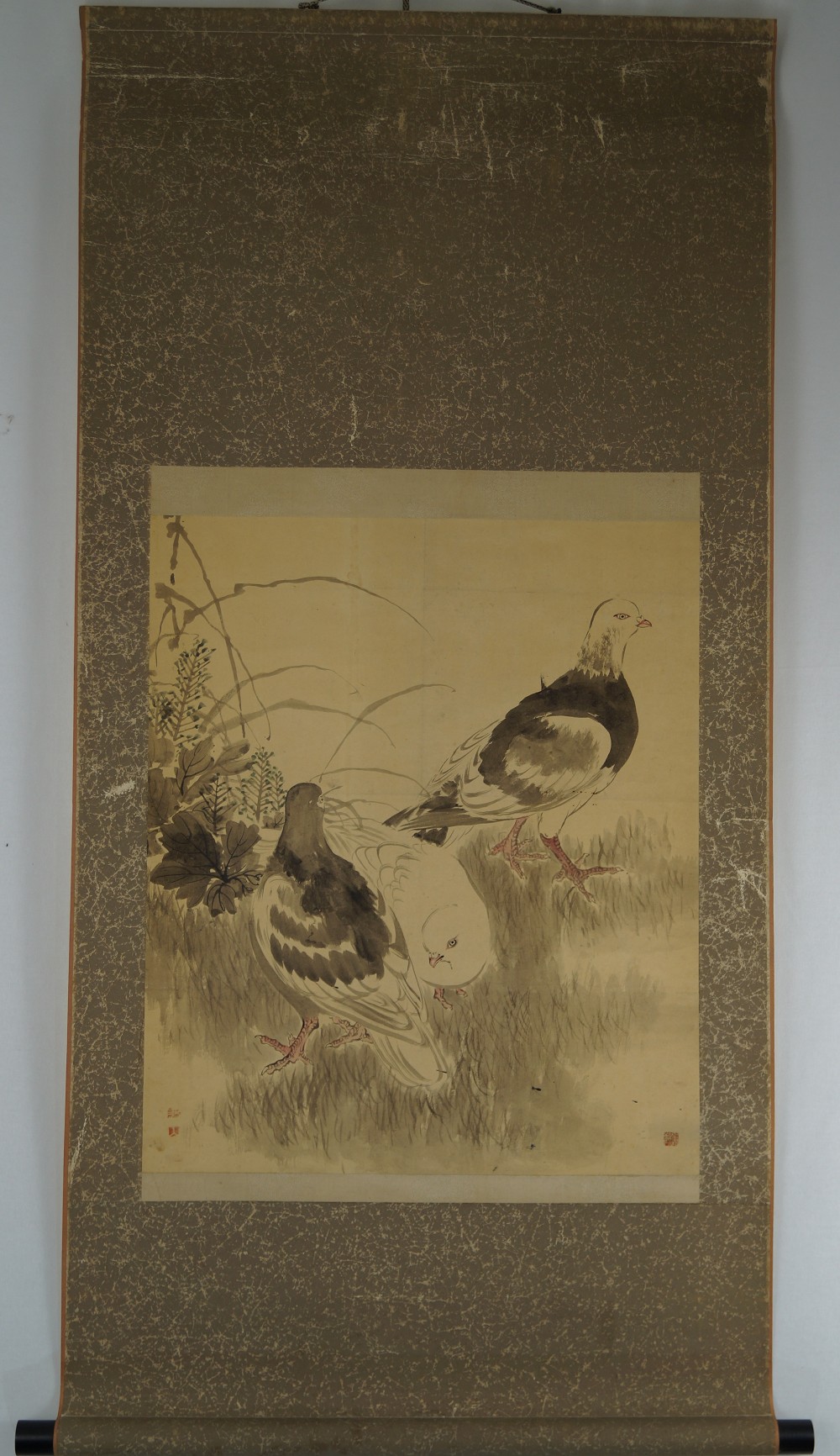 Pigeons dans l'herbe Kakemono Vue d'ensemble du rouleau suspendu