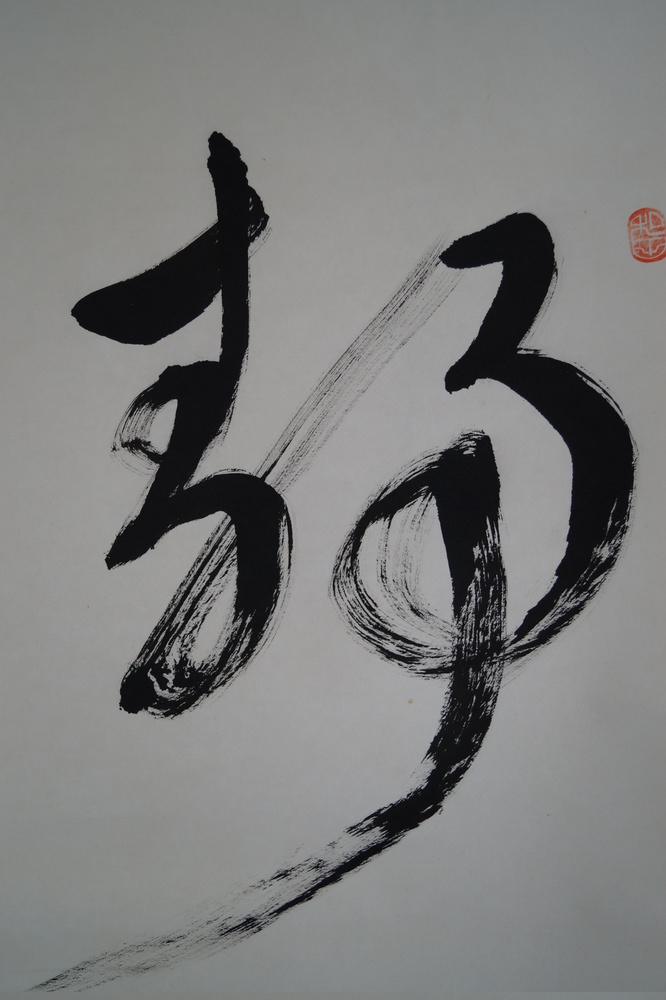 Bodhidharma Daruma kakejiku dettaglio calligrafia