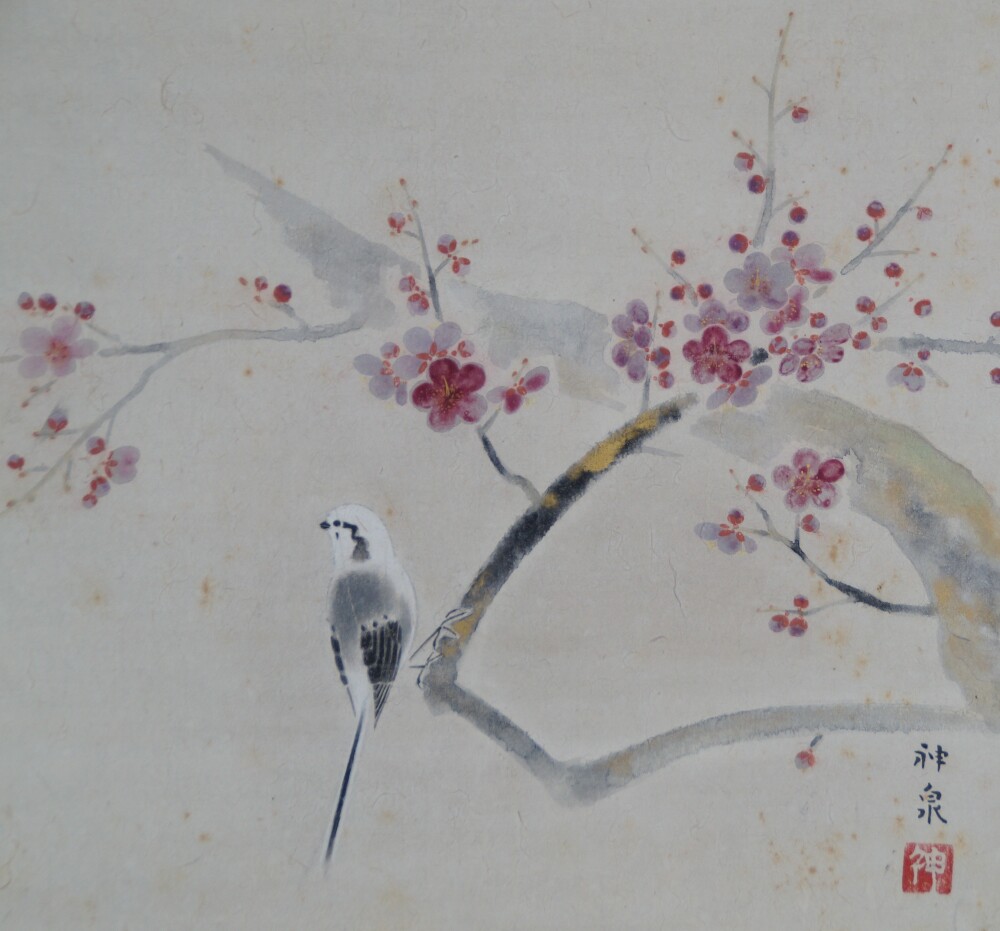 Uccello su ramo di susino fiorito nel kakemono Fiori di susino nella quiete luce dell'alba di Tokuoka Shinsen con firma dell'artista e sigillo rosso