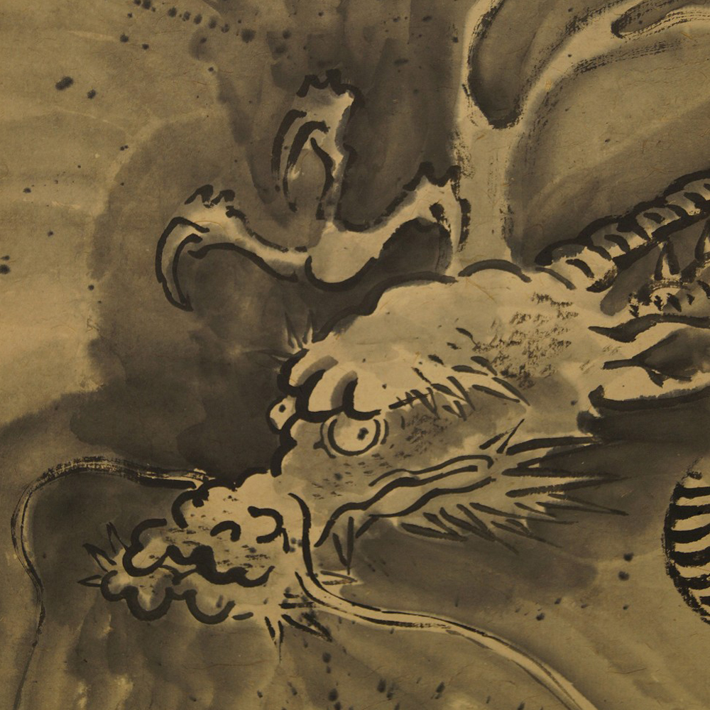 Dragon aperçu gros plan du motif