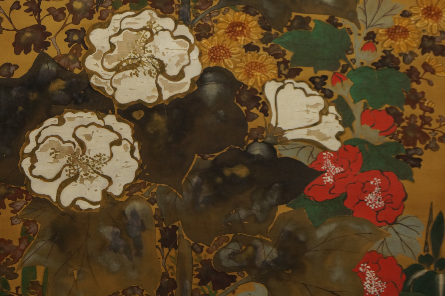 Flores, sakura y más