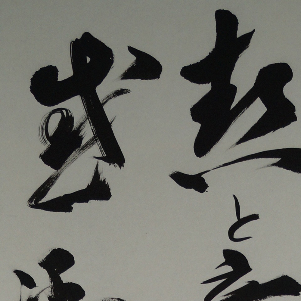 Bodhidharma Daruma Kakejiku aperçu gros plan du motif
