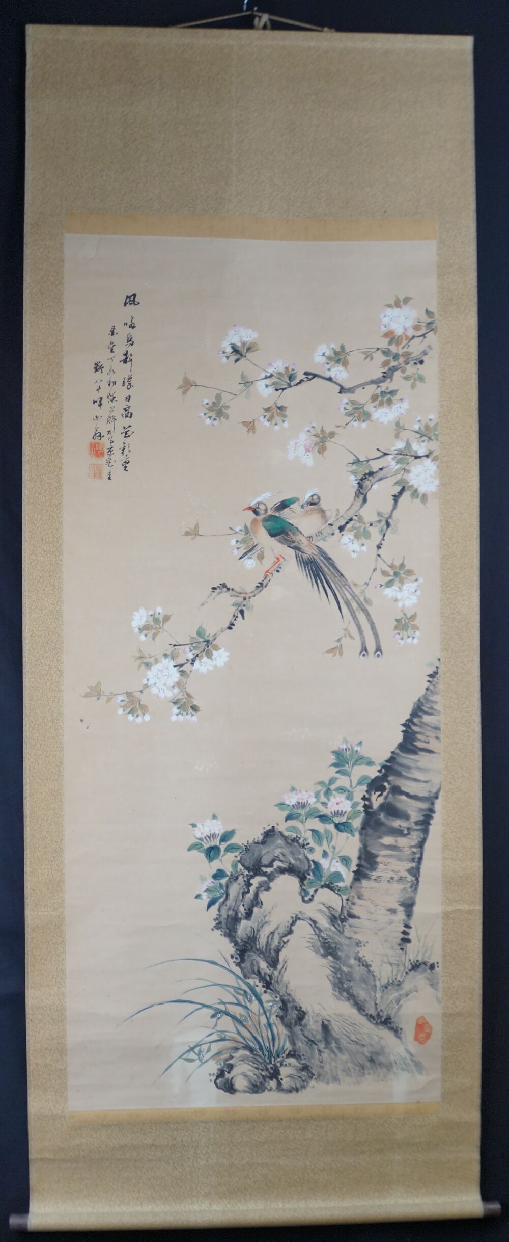 Kakemono Duetto primaverile su ramo fiorito di Takahashi Keizan in vista completa montata