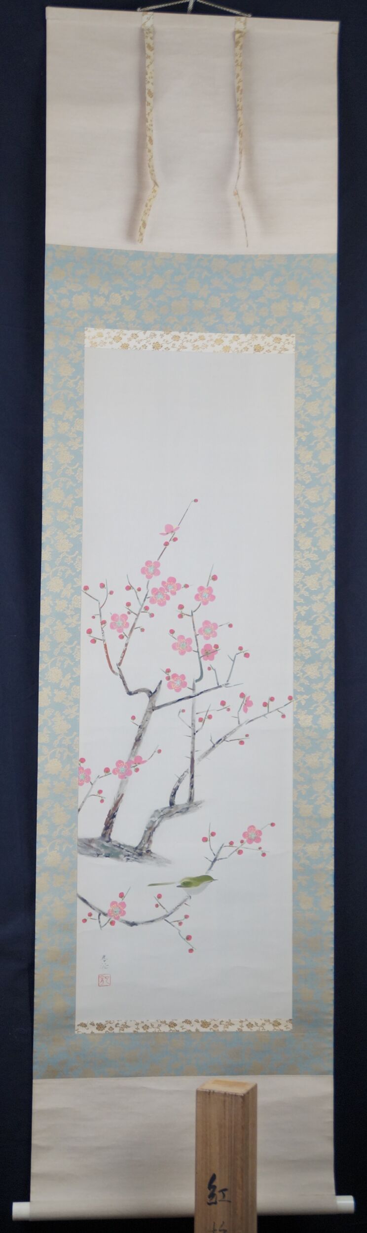 Kakemono uguisu su albero di susino in fiore di Nakamura Shunden in veduta completa incorniciata con scatola di conservazione