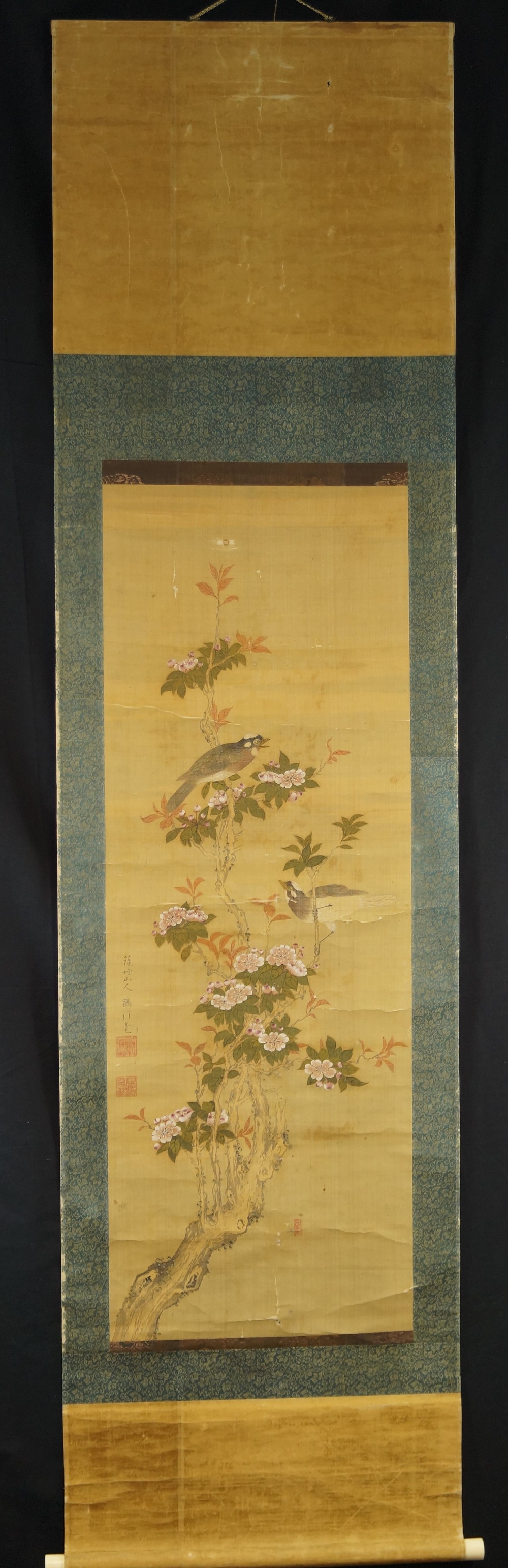 Kakemono uccello colorato nel roseto di Nakahama Tsuru, vista d'insieme del rotolo