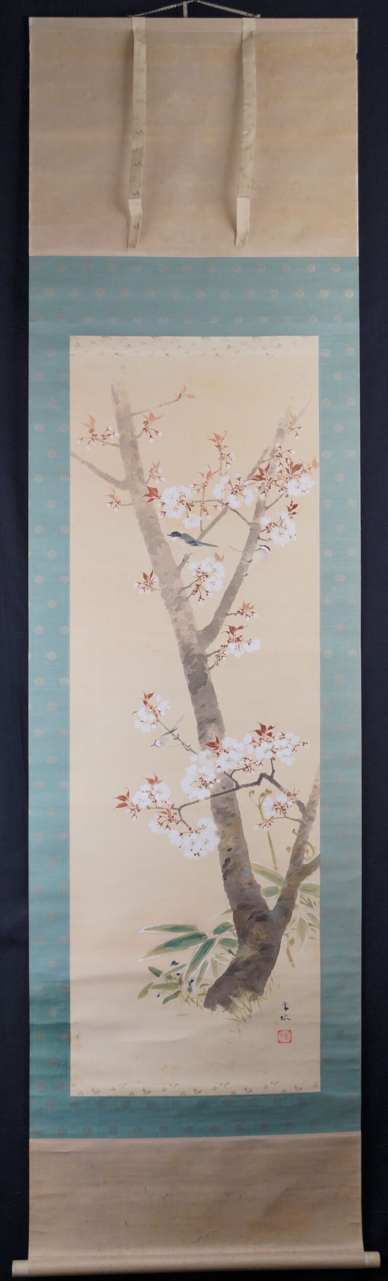 Kakemono primavera sull'antico ciliegio in fiore di Suma Taisui in vista completa con montaggio